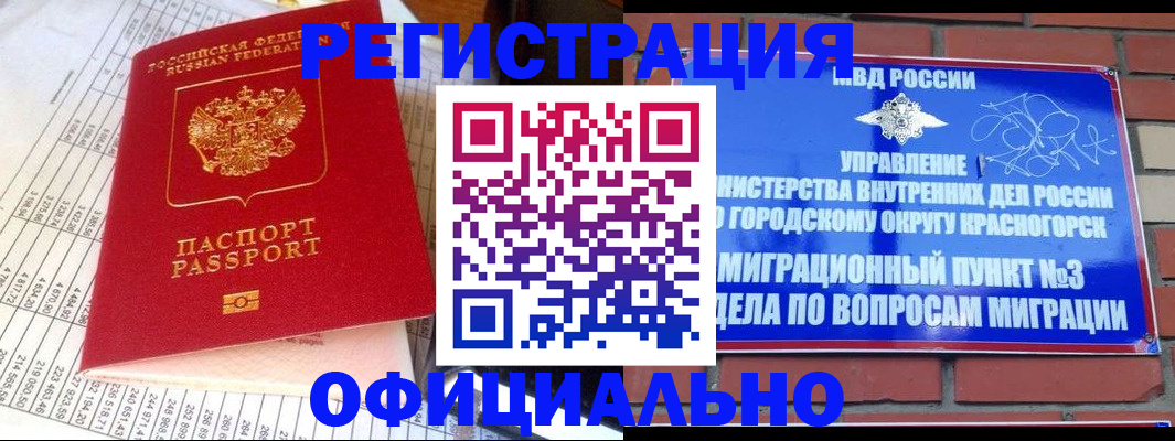 прописка поиск в Кингисеппе